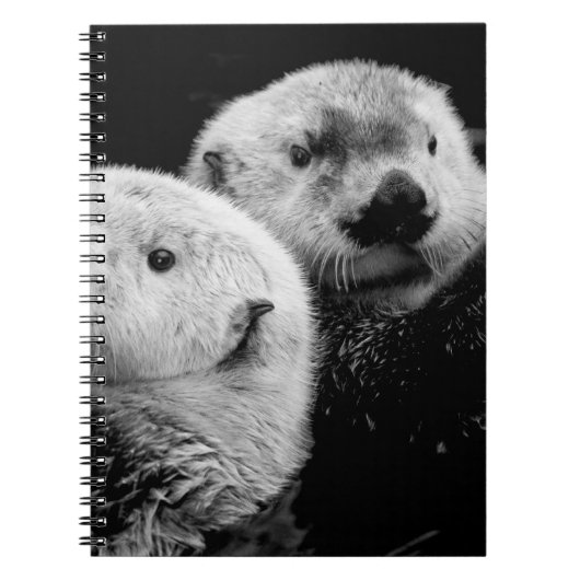 Sea Otters: Schwarz-weißes Paar. Notizblock (Vorderseite)