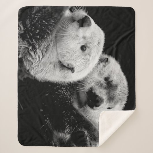 Sea Otters: Schwarz-weißes Paar. Sherpadecke (Vorderseite)