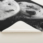 Sea Otters: Schwarz-weißes Paar. Sherpadecke (3/4)