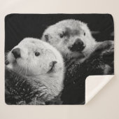 Sea Otters: Schwarz-weißes Paar. Sherpadecke (Vorderseite (Horizontal))