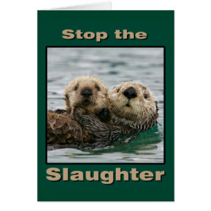 Sea Otters - Stoppt das Schlachten