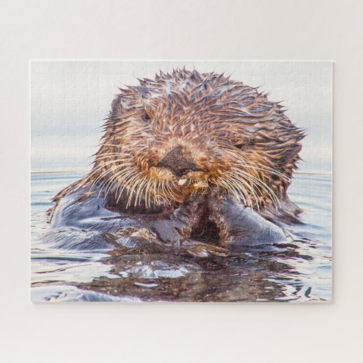 Sea Otters unsere Meere Jigsaw Puzzle (Horizontal)