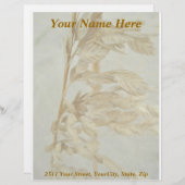 Sea Outs Äußere Banken NC Serie Briefkopf (Vorne/Hinten)