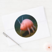Sea Pig Überraschung Runder Aufkleber (Umschlag)