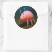 Sea Pig Überraschung Runder Aufkleber (Tasche)