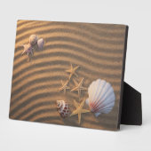 Sea Shells And Starfish Fotoplatte (Seite)