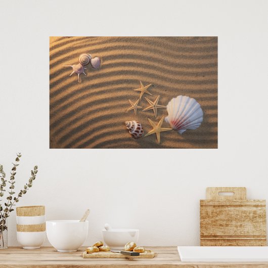 Sea Shells And Starfish Poster (Küche)
