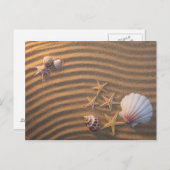 Sea Shells And Starfish Postkarte (Vorne/Hinten)