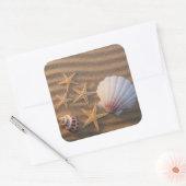 Sea Shells And Starfish Quadratischer Aufkleber (Umschlag)