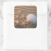 Sea Shells And Starfish Quadratischer Aufkleber (Tasche)