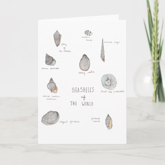 Sea Shells Greeting Card Karte (Vorderseite)