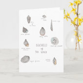 Sea Shells Greeting Card Karte (Gelbe Blume)
