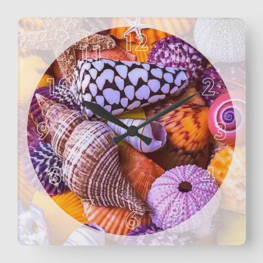 Sea Shells Quadratische Wanduhr (Vorderseite)