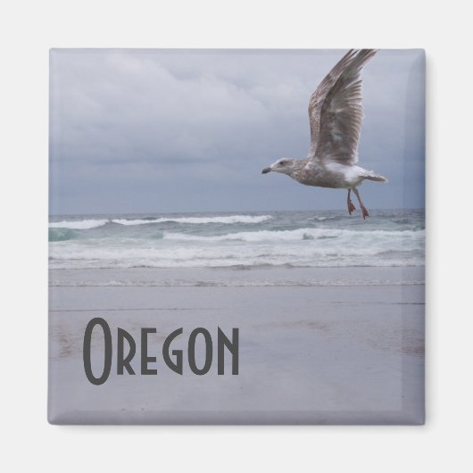 Sea Sinti und Roma Magnet (Vorne)