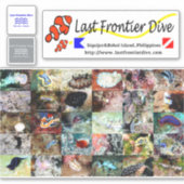 】 Sea Slug】 Lege auf dein Tauchlogbuch! Aufkleber (Vorderseite)