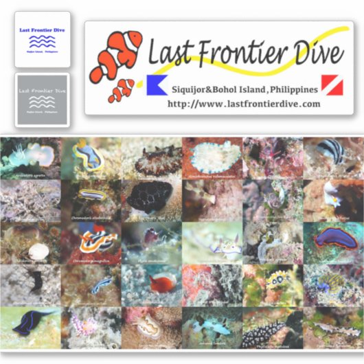 】 Sea Slug】 Lege auf dein Tauchlogbuch! Aufkleber (Vorderseite)