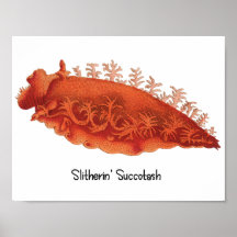Sea Slug Poster Slitherin' Succotash