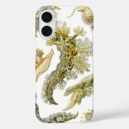 Sea Slugchia von Ernst Haeckel, Vintage Nudibranch iPhone 16 Hülle