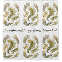Sea Slugchia von Ernst Haeckel, Vintage Nudibranch Duschvorhang