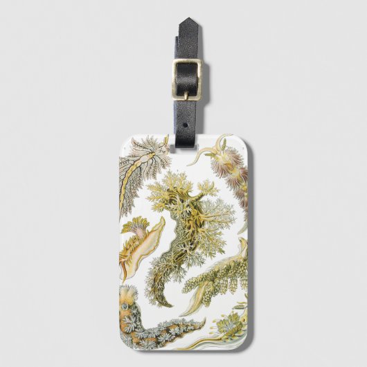 Sea Slugchia von Ernst Haeckel, Vintage Nudibranch Gepäckanhänger (Vorderseite Vertikal)