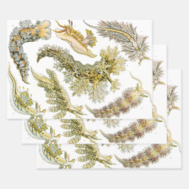 Sea Slugchia von Ernst Haeckel, Vintage Nudibranch Geschenkpapier Set