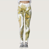 Sea Slugchia von Ernst Haeckel, Vintage Nudibranch Leggings (Vorderseite)
