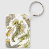 Sea Slugchia von Ernst Haeckel, Vintage Nudibranch Schlüsselanhänger (Rückseite)