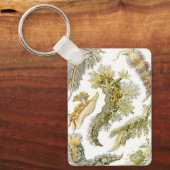 Sea Slugchia von Ernst Haeckel, Vintage Nudibranch Schlüsselanhänger (Vorderseite)