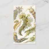 Sea Slugchia von Ernst Haeckel, Vintage Nudibranch Visitenkarte (Rückseite)
