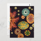 Sea Squirt Remix Postcard Postkarte (Vorne/Hinten)