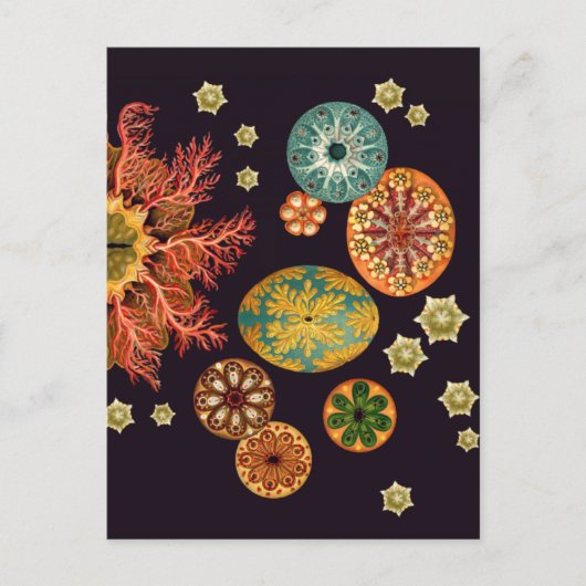 Sea Squirt Remix Postcard Postkarte (Vorderseite)