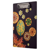 Sea Squirt Remix Zwischenablage Klemmbrett (Links)