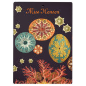 Sea Squirt Remix Zwischenablage Klemmbrett (Rückseite)