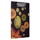 Sea Squirt Remix Zwischenablage Klemmbrett (Rechts)