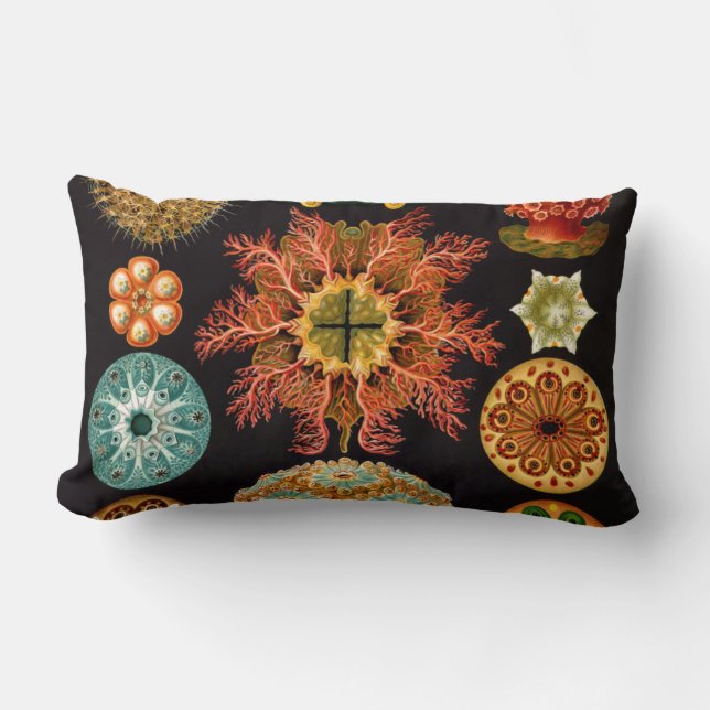 Sea Squirt Square Lumbar Kissen (Vorderseite)