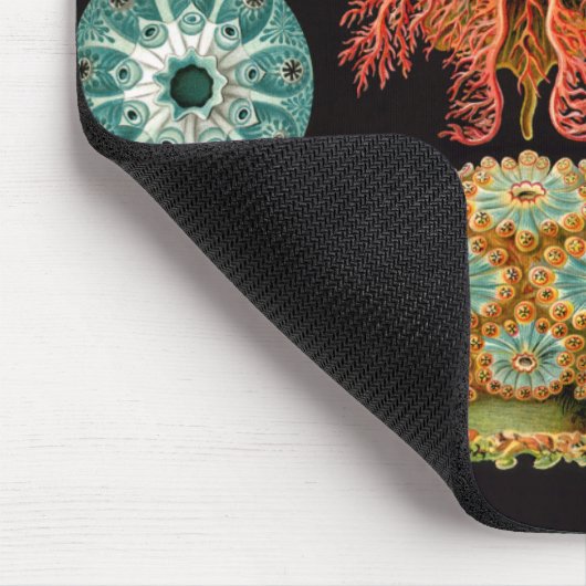 Sea Squirt Square Mousepad (Ecke)