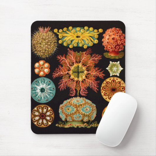 Sea Squirt Square Mousepad (Mit Mouse)