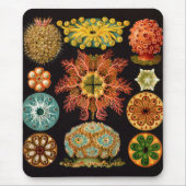 Sea Squirt Square Mousepad (Vorne)