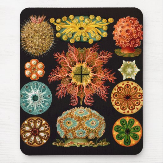 Sea Squirt Square Mousepad (Vorne)