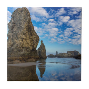 Sea Stacks on Bandon Beach in Bandon, Oregon 1 Fliese