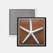 Sea Star Magnet (Vorderseite/Rückseite)