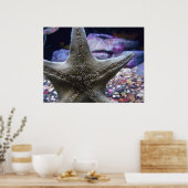Sea Star Poster (Küche)