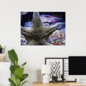 Sea Star Poster (Heimbüro)