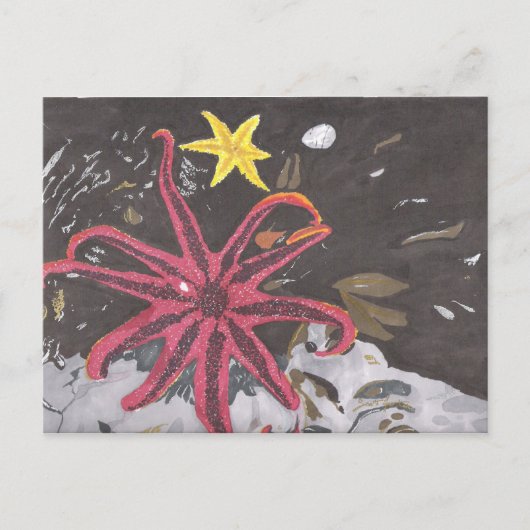 Sea Star Postkarte (Vorderseite)