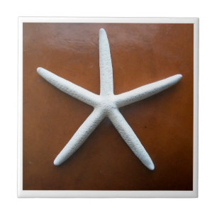 Sea Star Tile Fliese