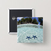 Sea stars, Rock Islands, Palau 2 Button (Vorne & Hinten)