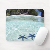 Sea stars, Rock Islands, Palau 2 Mousepad (Mit Mouse)