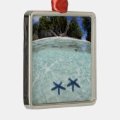 Sea stars, Rock Islands, Palau 2 Silbernes Ornament (Rechts)