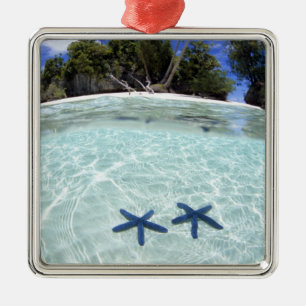 Sea stars, Rock Islands, Palau 2 Silbernes Ornament