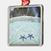 Sea stars, Rock Islands, Palau 2 Silbernes Ornament (Links)